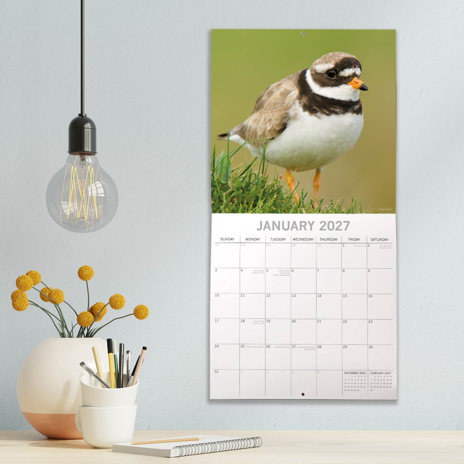 Animals_Coastal_Birds_2027_Jan_LS.jpg