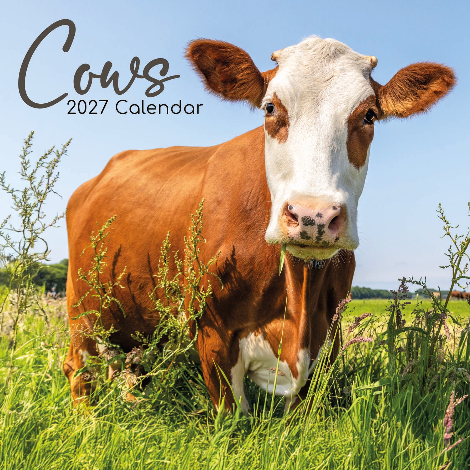 Animals_Cows_2027_Cover.jpg