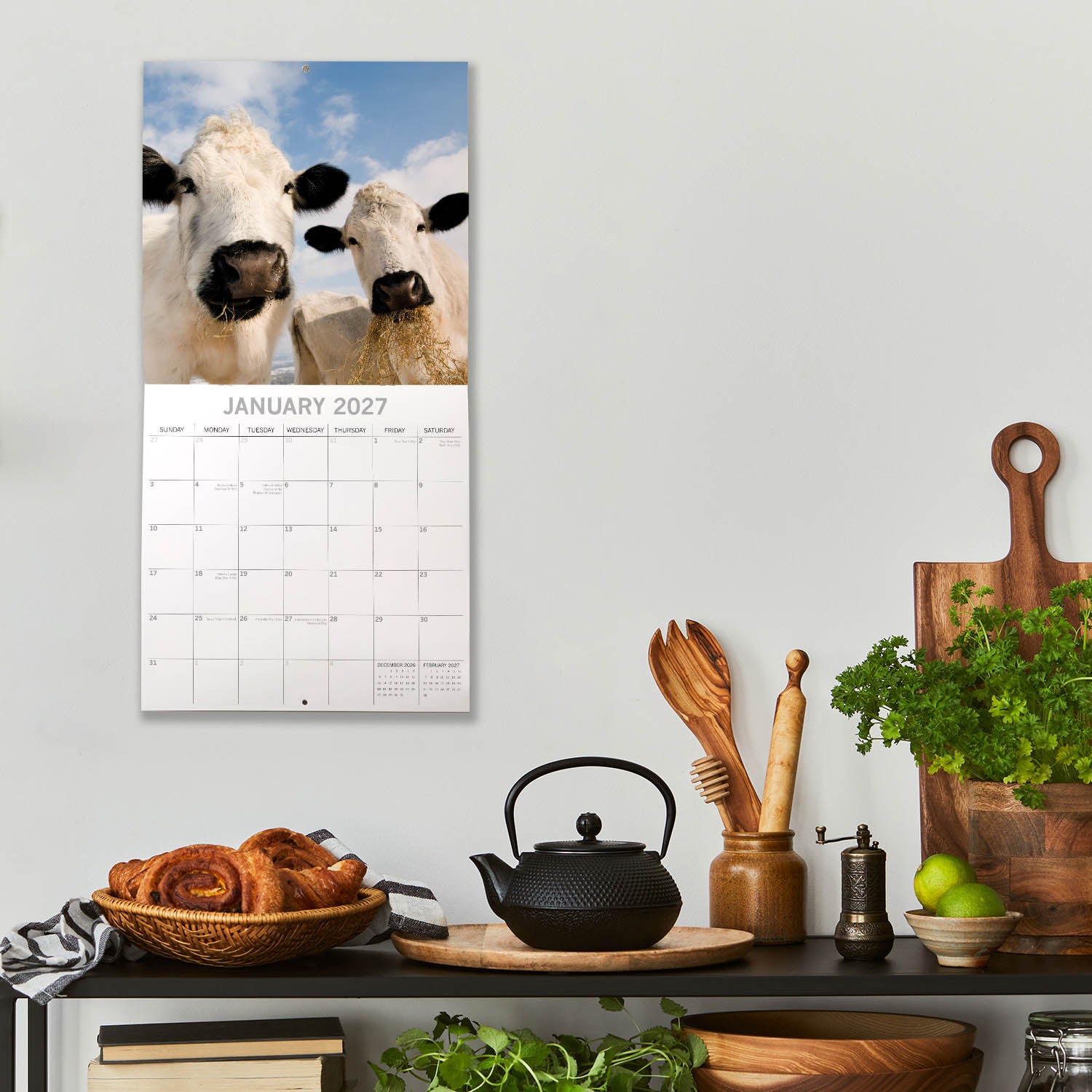 Animals_Cows_2027_Jan_LS.jpg