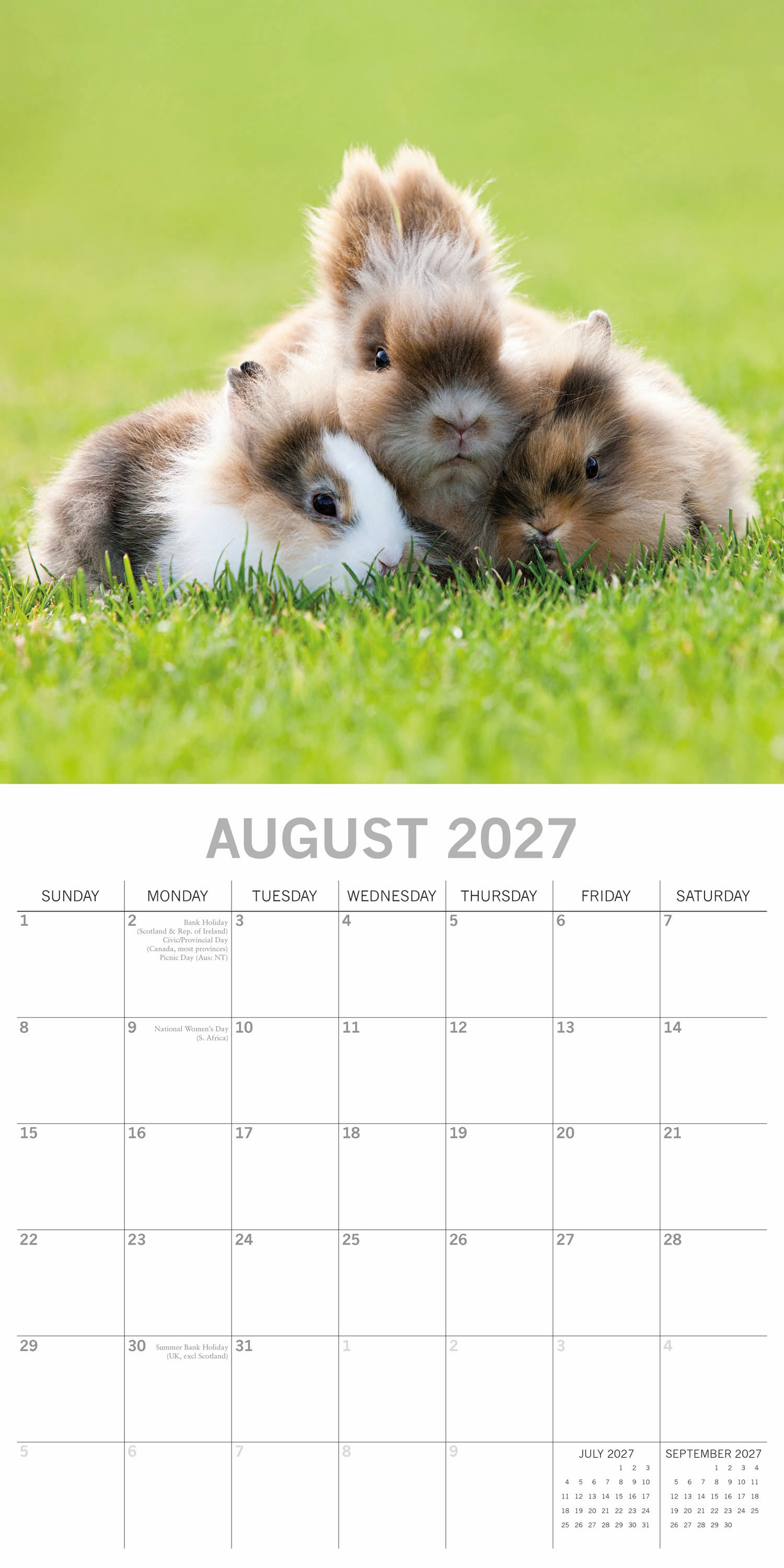 2027 Cute Bunnies - Square Wall Calendar 2027 Cute Bunnies - Square Wall Calendar