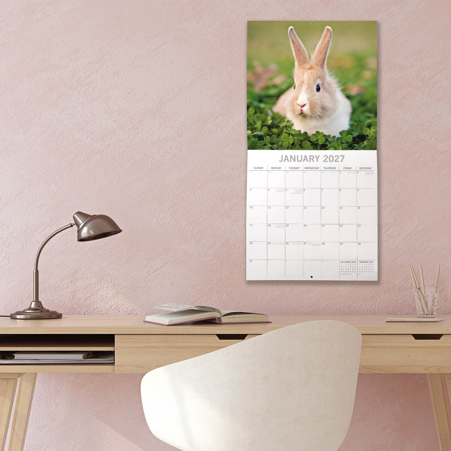 Animals_Cute_Bunnies_2027_Jan_LS.jpg