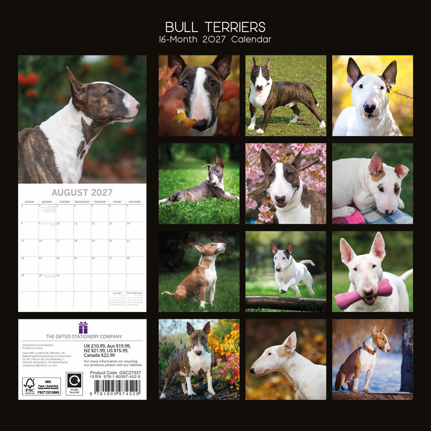 Animals_Dogs_Bull_Terriers_2027_Back.jpg