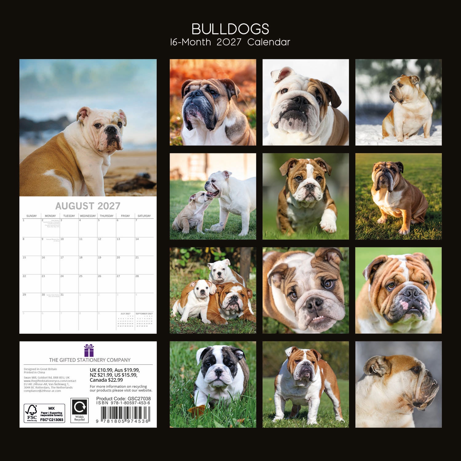 Animals_Dogs_Bulldogs_2027_Back.jpg