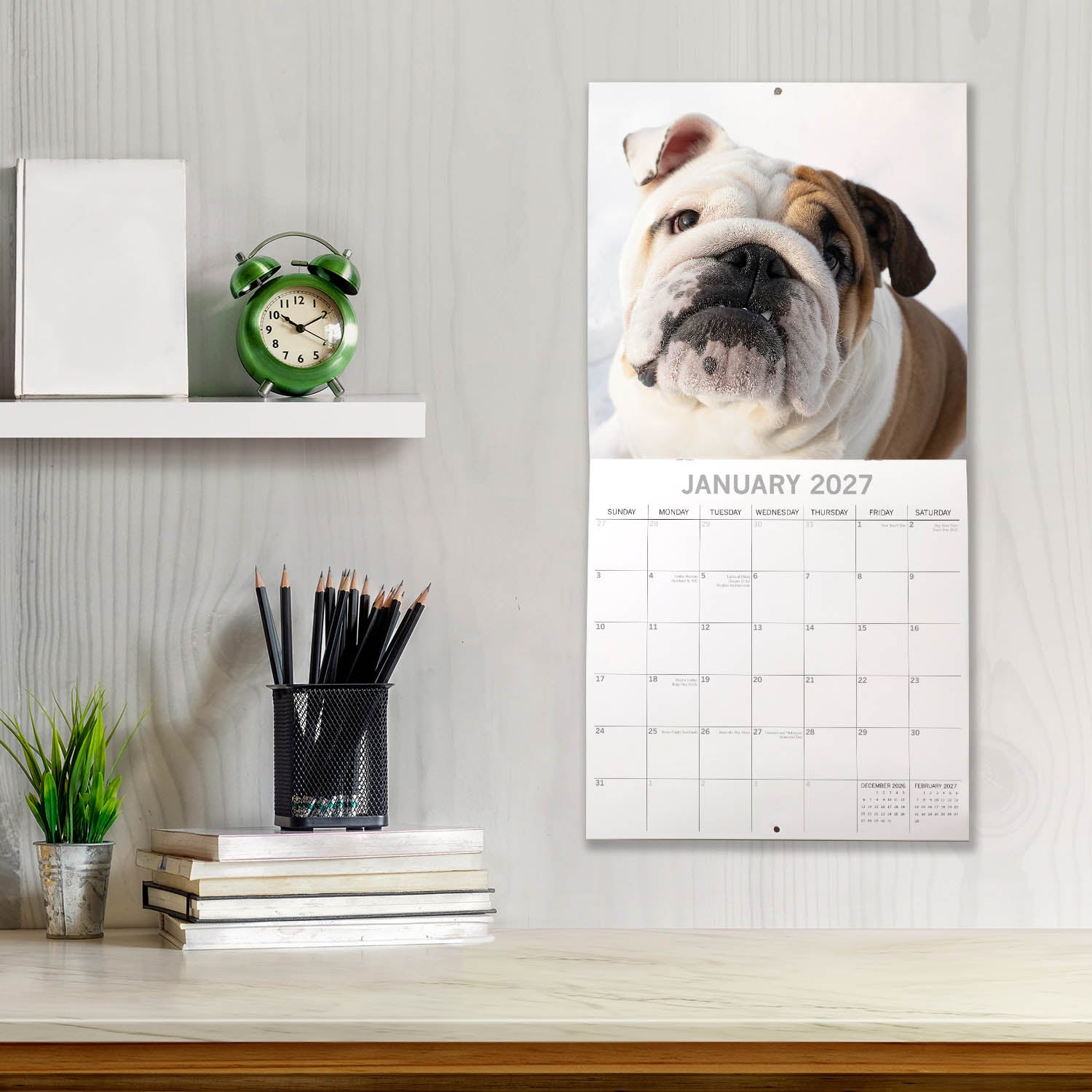 Animals_Dogs_Bulldogs_2027_Jan_LS.jpg