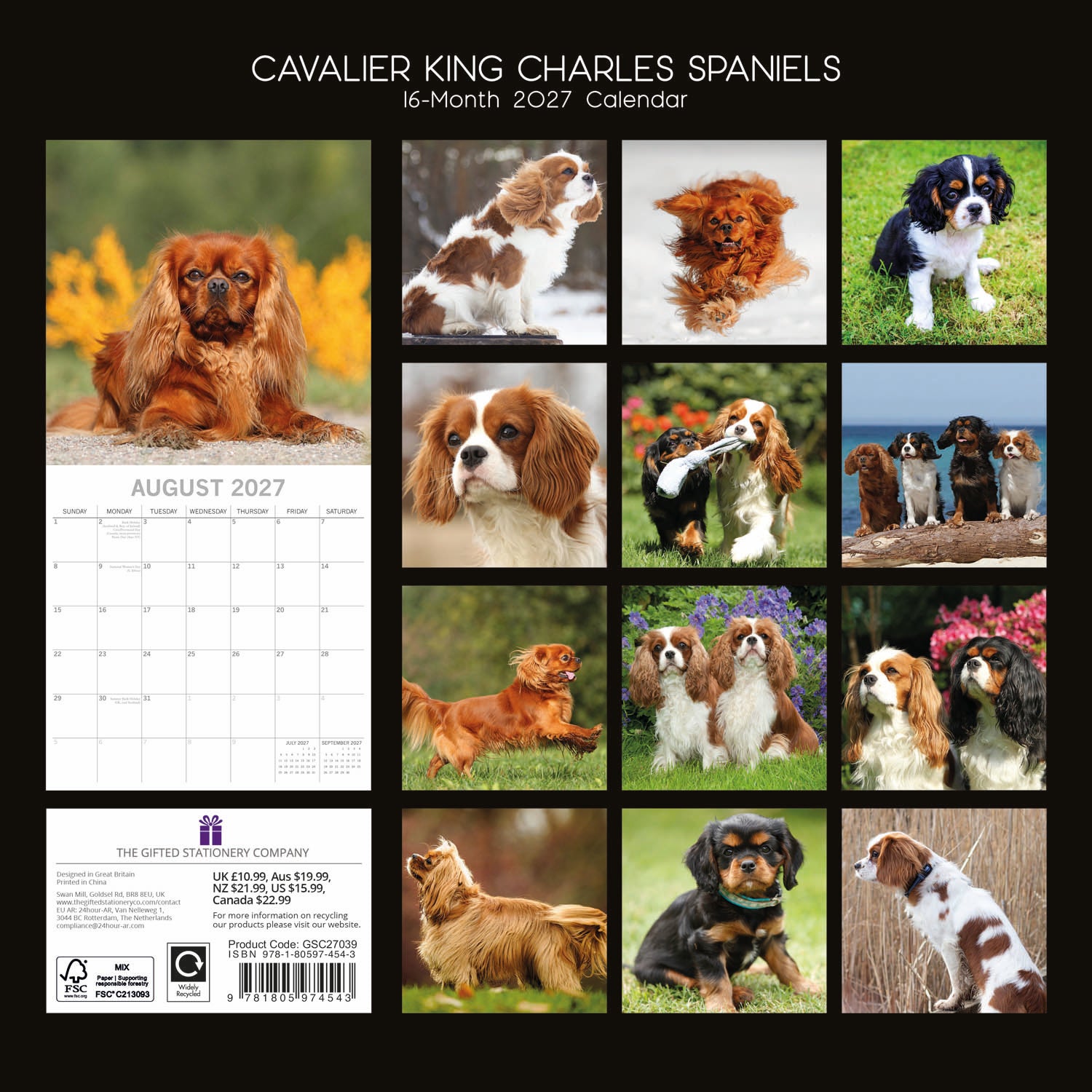 Animals_Dogs_Cavalier_King_Charles_Spaniels_2027_Back.jpg