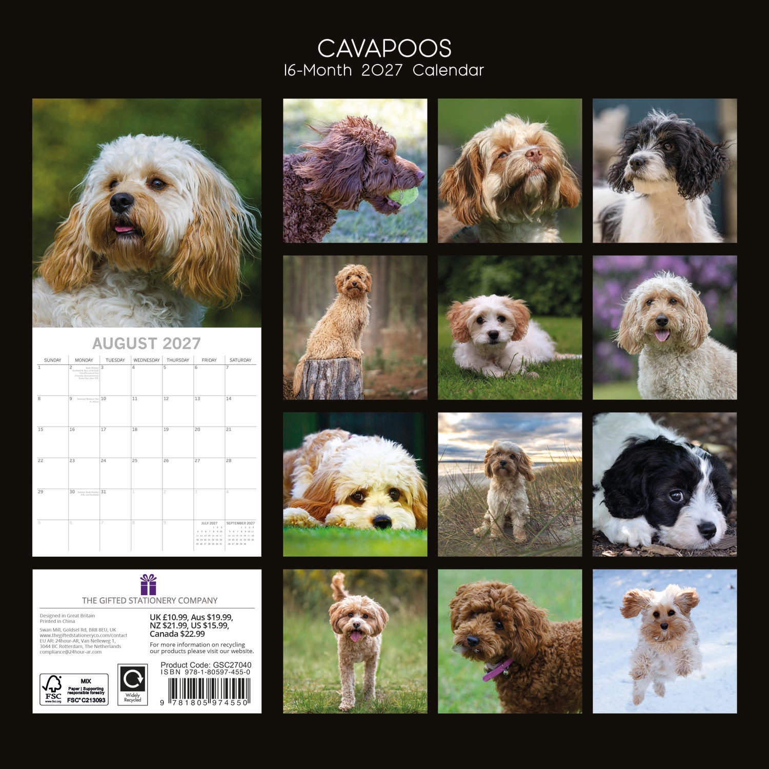 Animals_Dogs_Cavapoos_2027_Back.jpg
