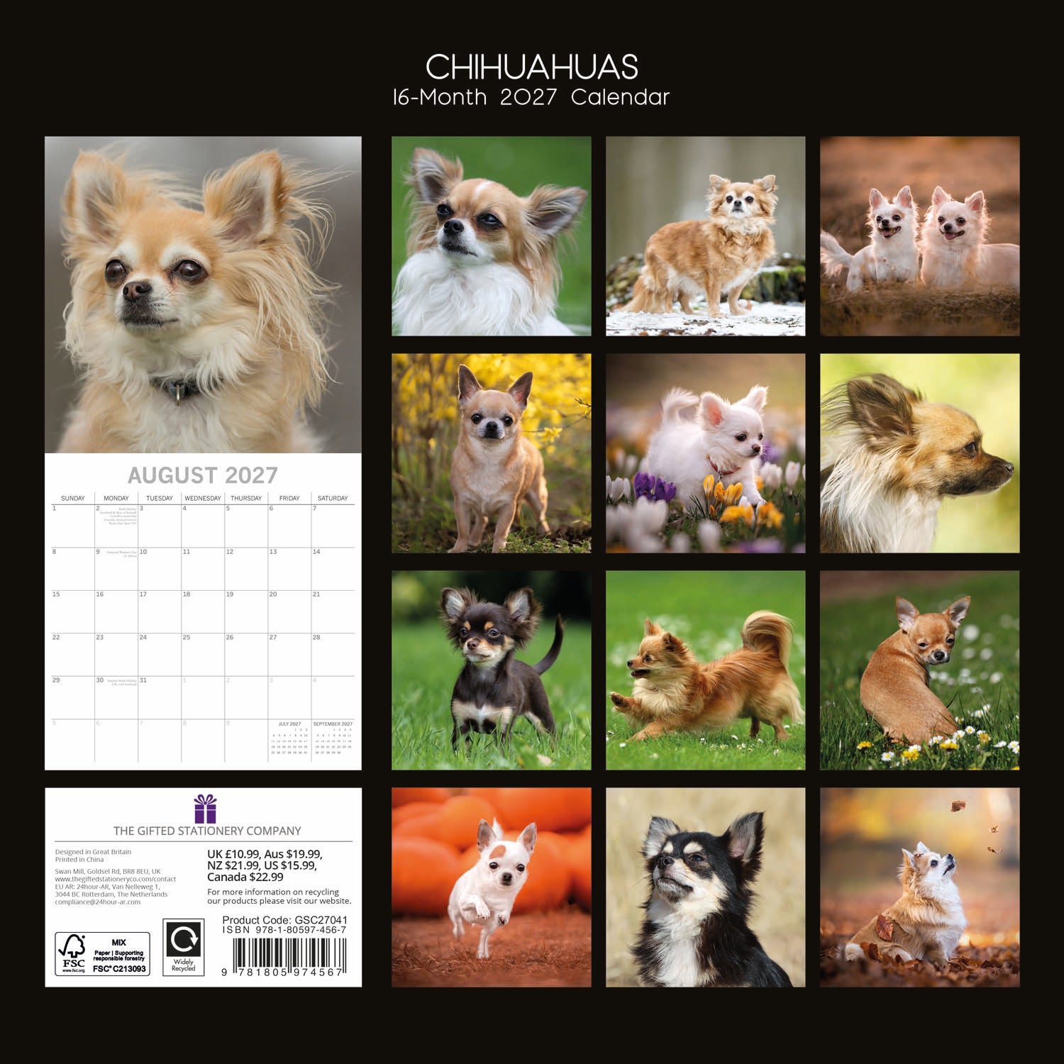 Animals_Dogs_Chihuahuas_2027_Back.jpg