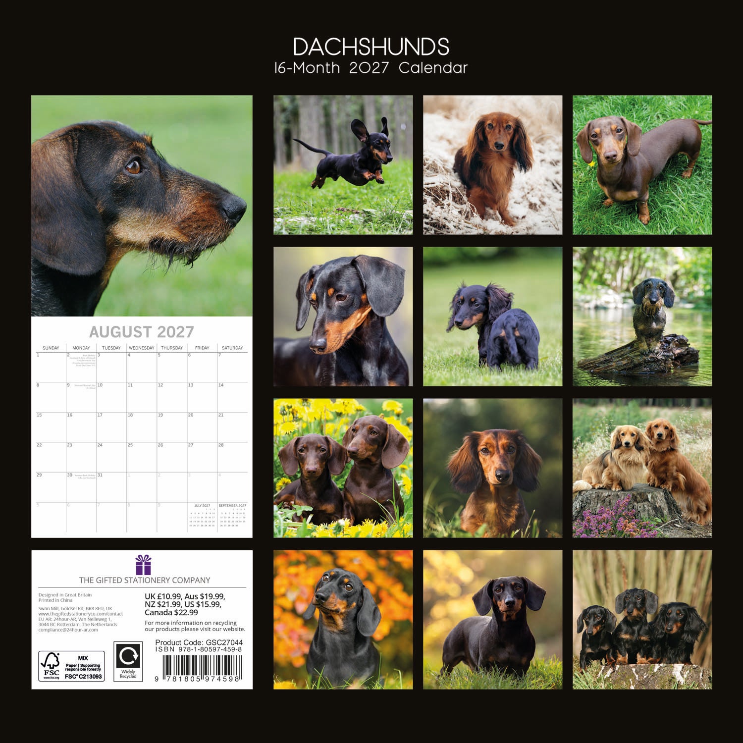 Animals_Dogs_Dachshunds_2027_Back.jpg
