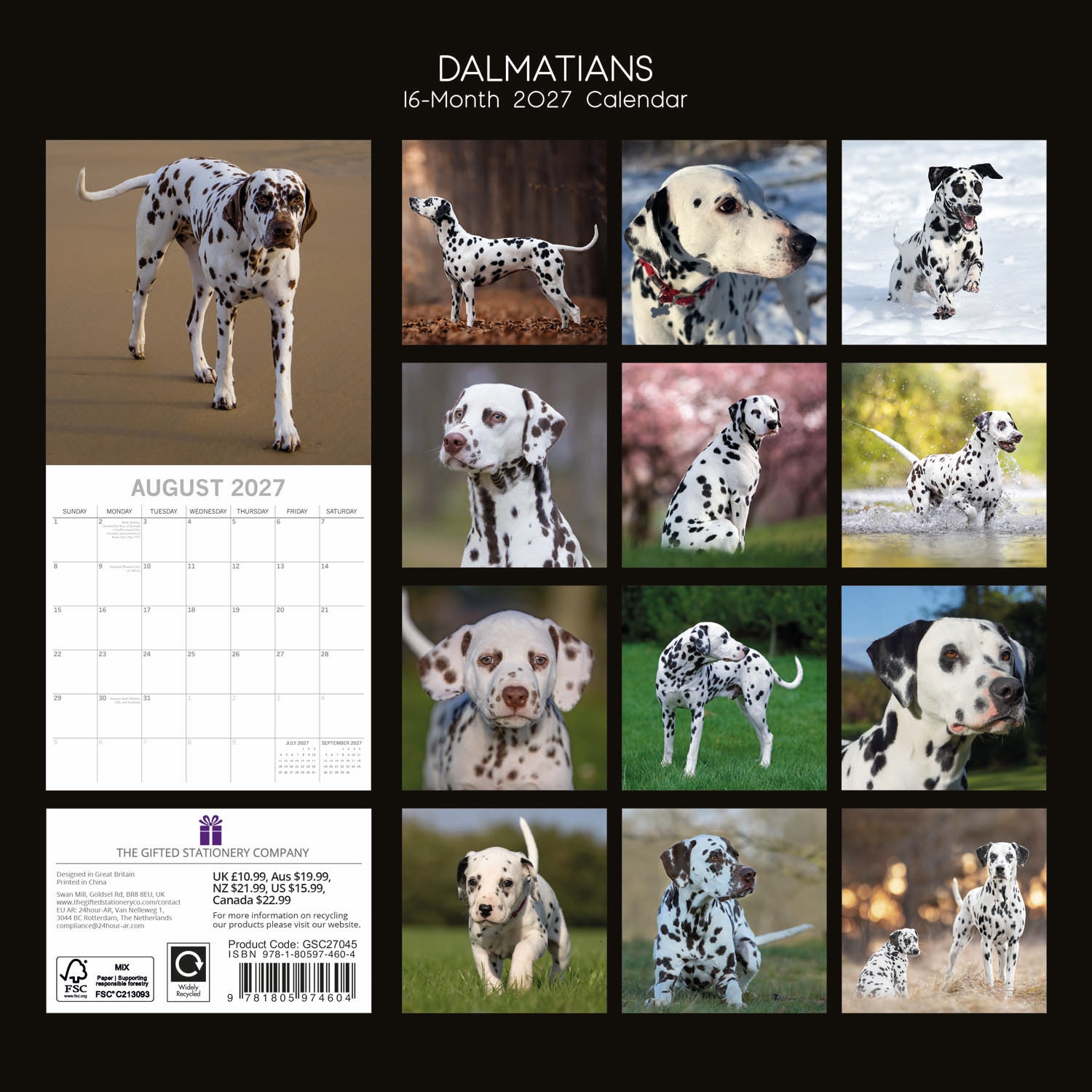 Animals_Dogs_Dalmatians_2027_Back.jpg