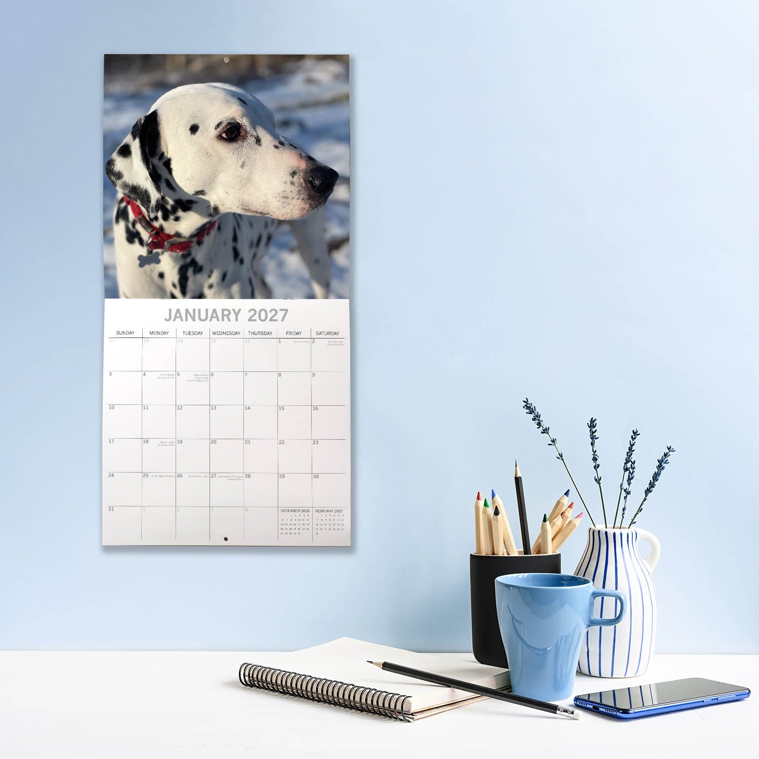 Animals_Dogs_Dalmatians_2027_Jan_LS.jpg