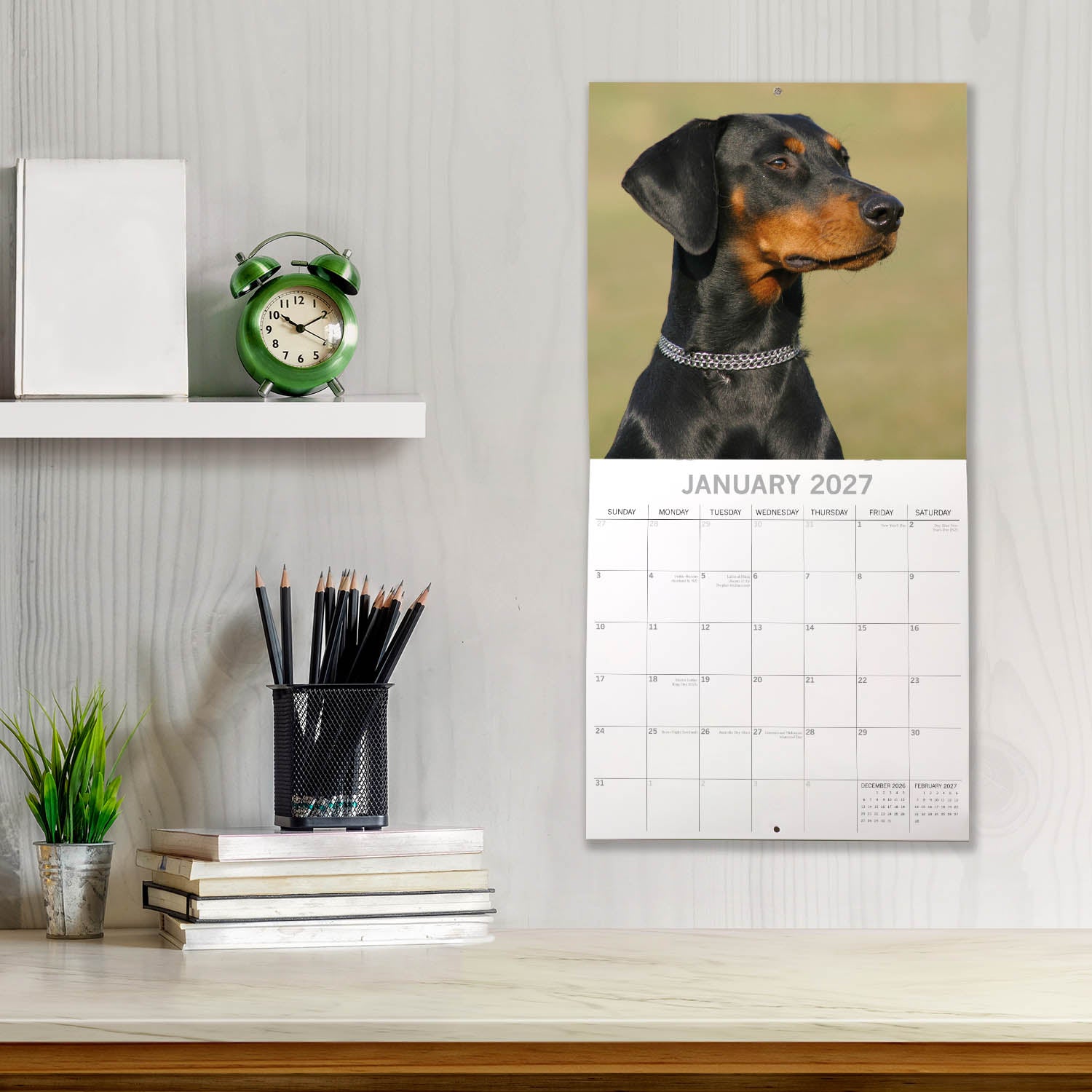 Animals_Dogs_Dobermanns_2027_Jan_LS.jpg