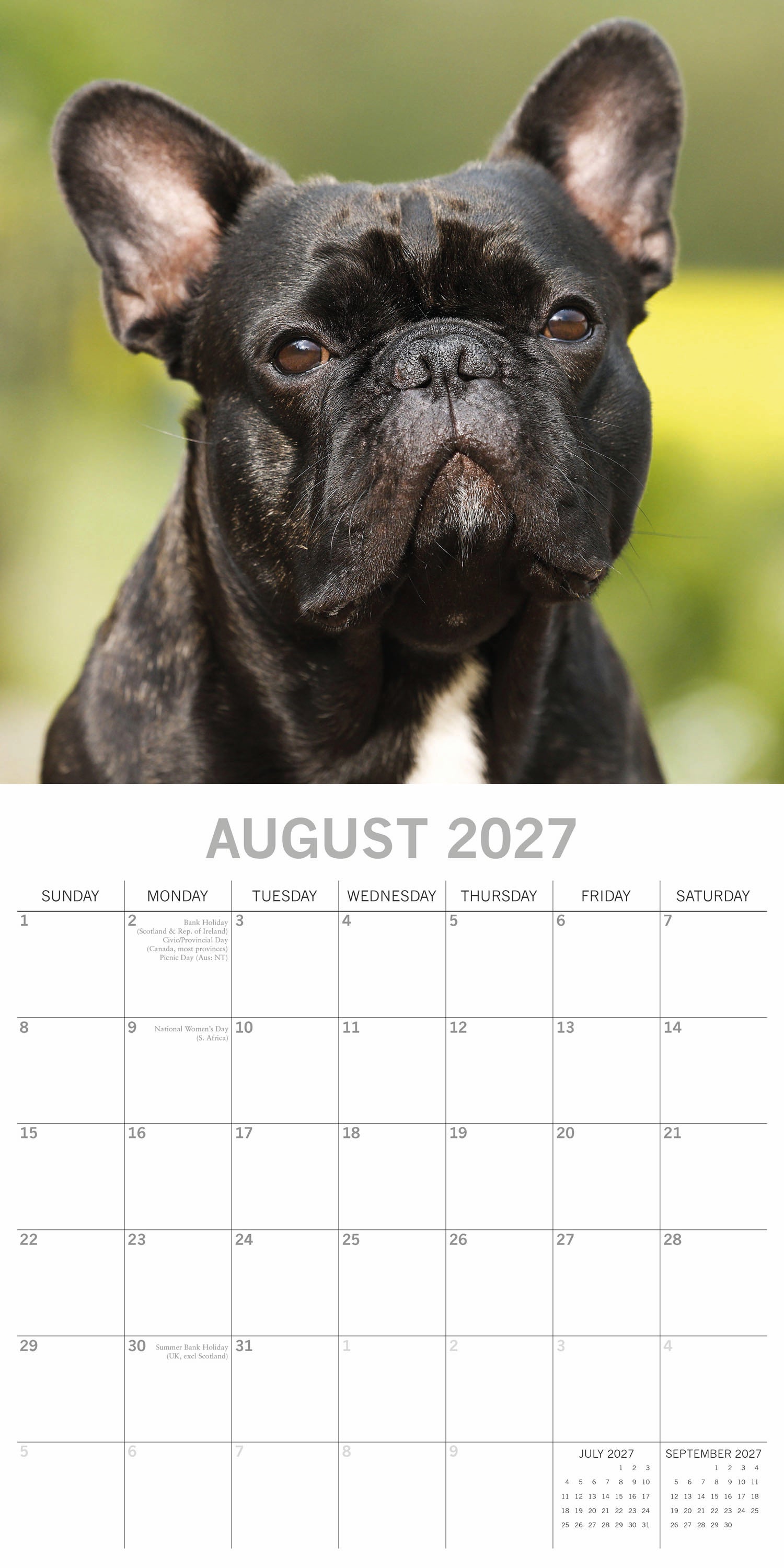Animals_Dogs_French_Bulldogs_2027_Aug.jpg