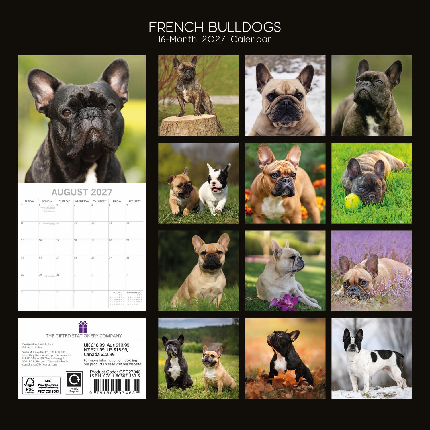 Animals_Dogs_French_Bulldogs_2027_Back.jpg