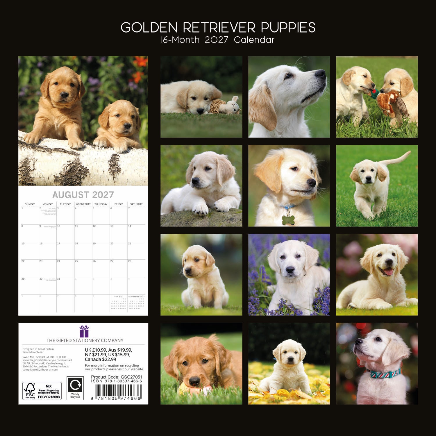 Animals_Dogs_Golden_Retriever_Puppies_2027_Back.jpg