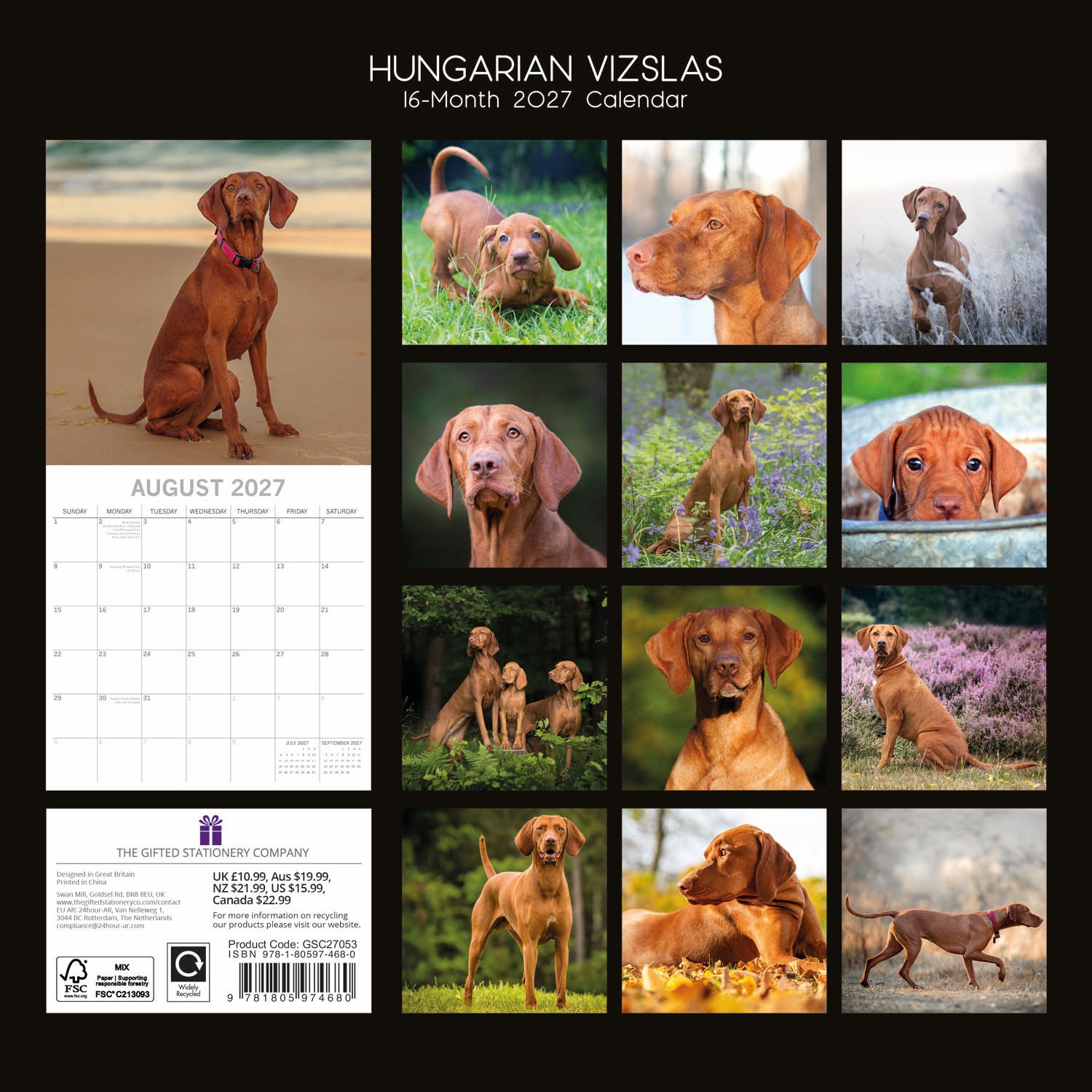 Animals_Dogs_Hungarian_Vizslas_2027_Back.jpg