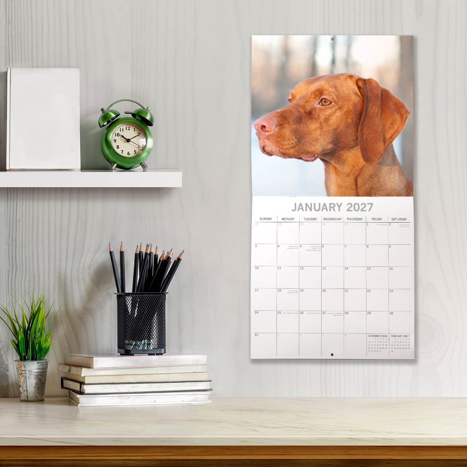 Animals_Dogs_Hungarian_Vizslas_2027_Jan_LS.jpg