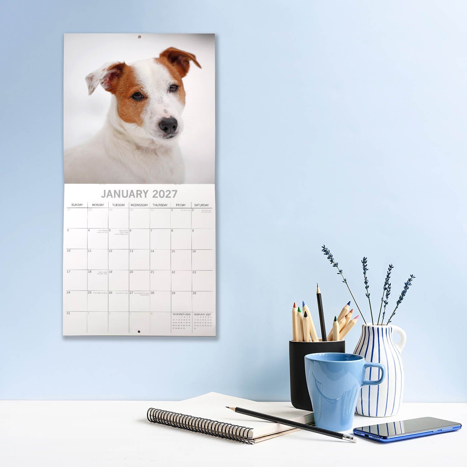 Animals_Dogs_Jack_Russells_2027_Jan_LS.jpg