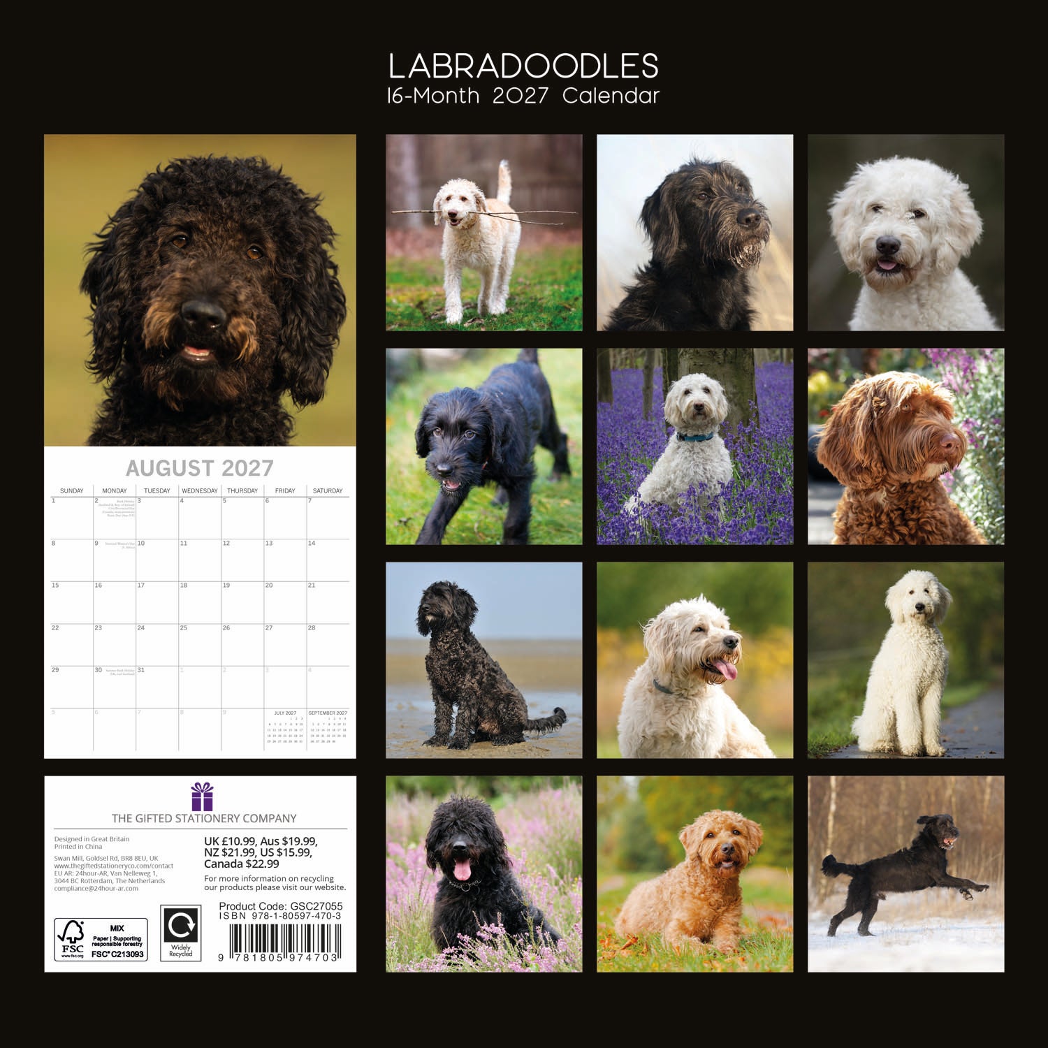 Animals_Dogs_Labradoodles_2027_Back.jpg