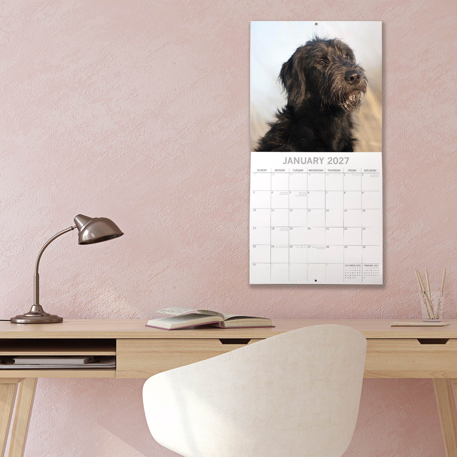 Animals_Dogs_Labradoodles_2027_Jan_LS.jpg
