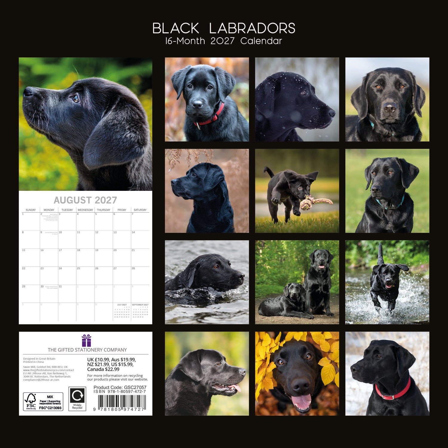 Animals_Dogs_Labradors-Black_2027_Back.jpg