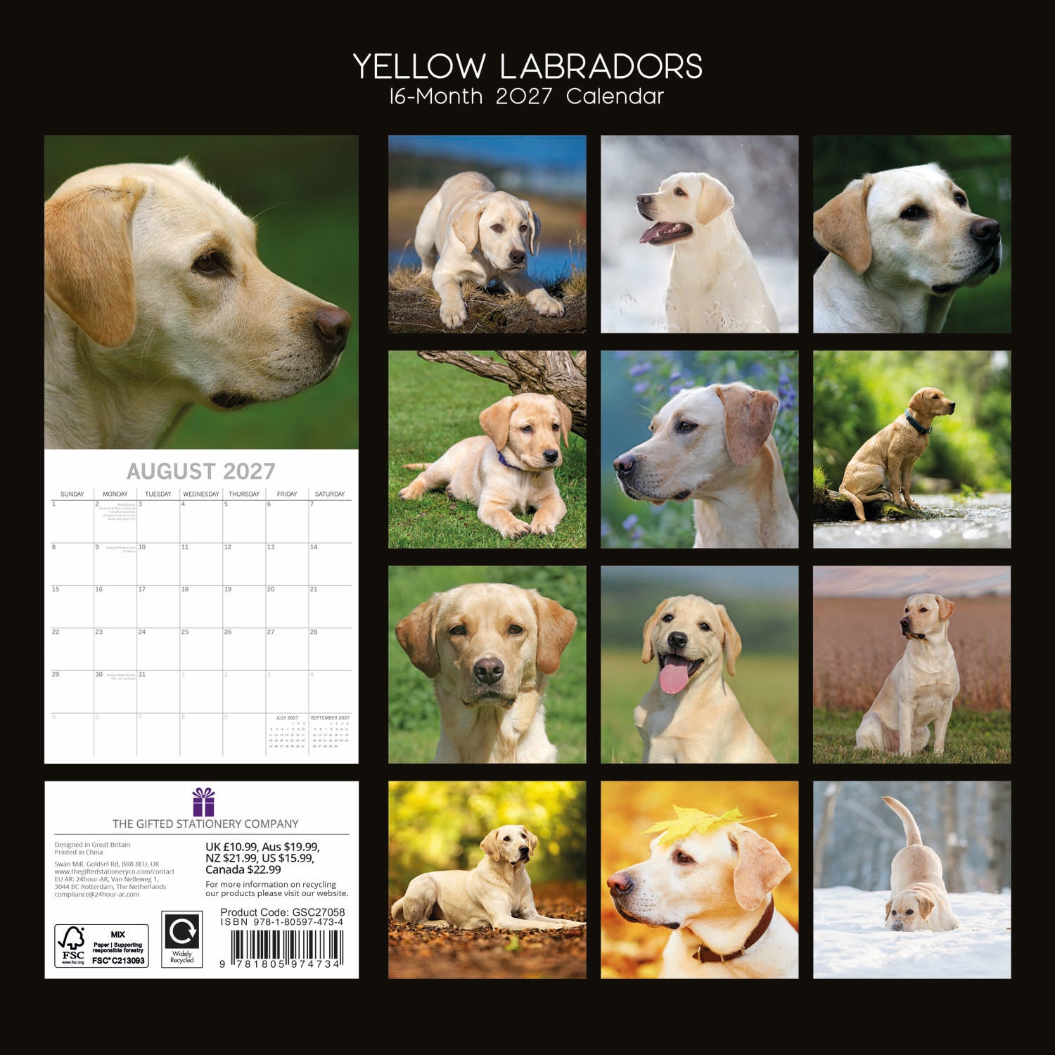 Animals_Dogs_Labradors-Yellow_2027_Back.jpg