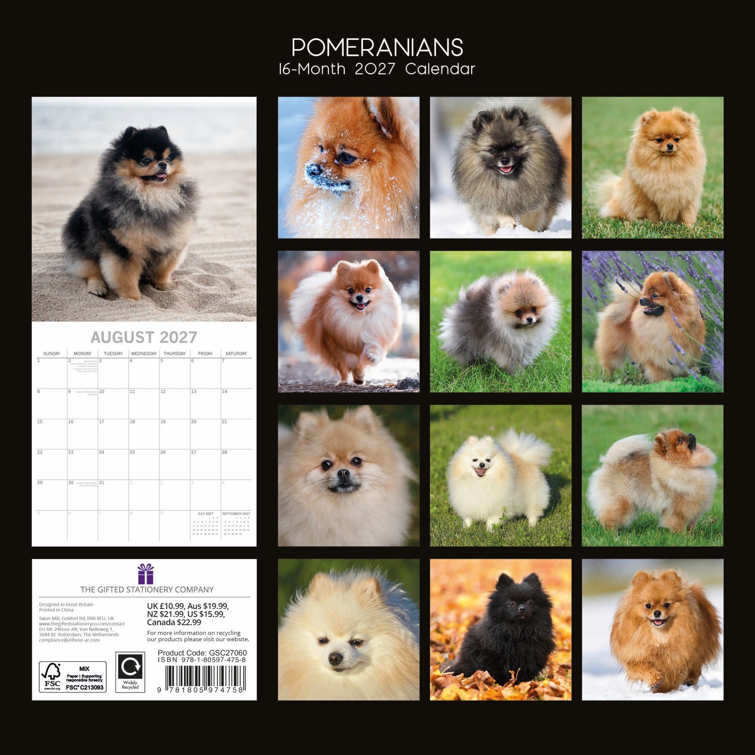 Animals_Dogs_Pomeranians_2027_Back.jpg
