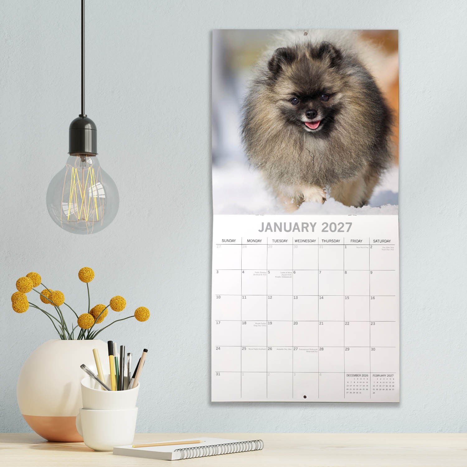 Animals_Dogs_Pomeranians_2027_Jan_LS.jpg