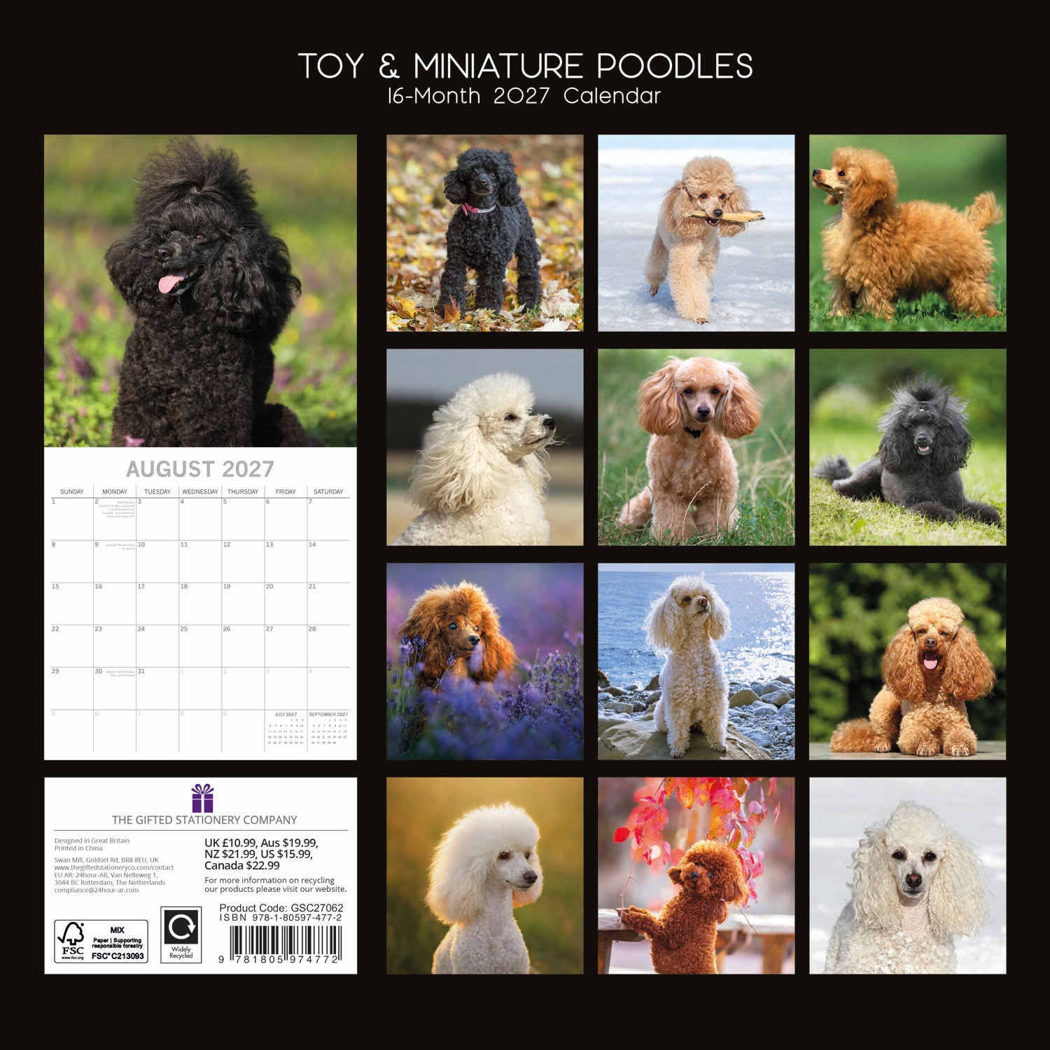 Animals_Dogs_Poodles-Toy_and_Miniature_2027_Back.jpg