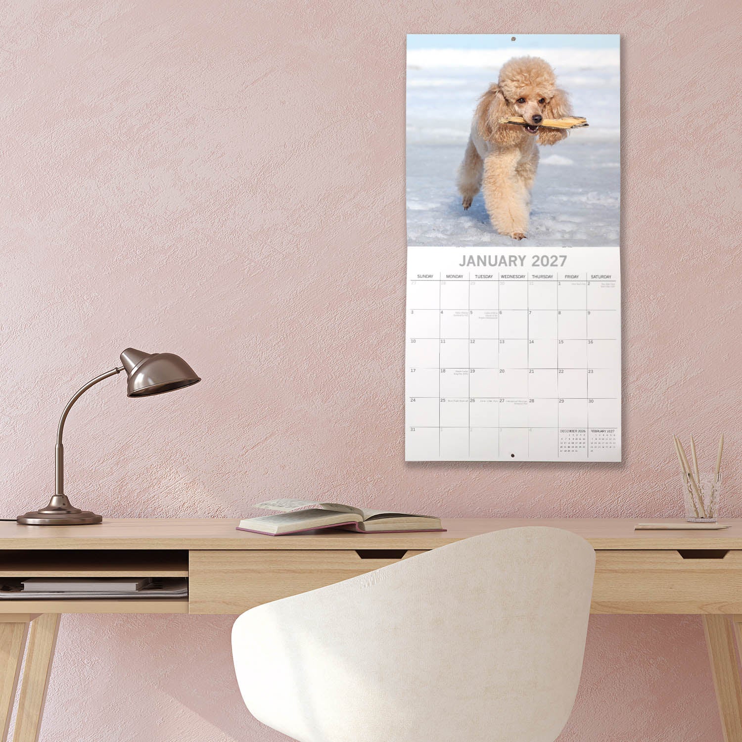 Animals_Dogs_Poodles-Toy_and_Miniature_2027_Jan_LS.jpg