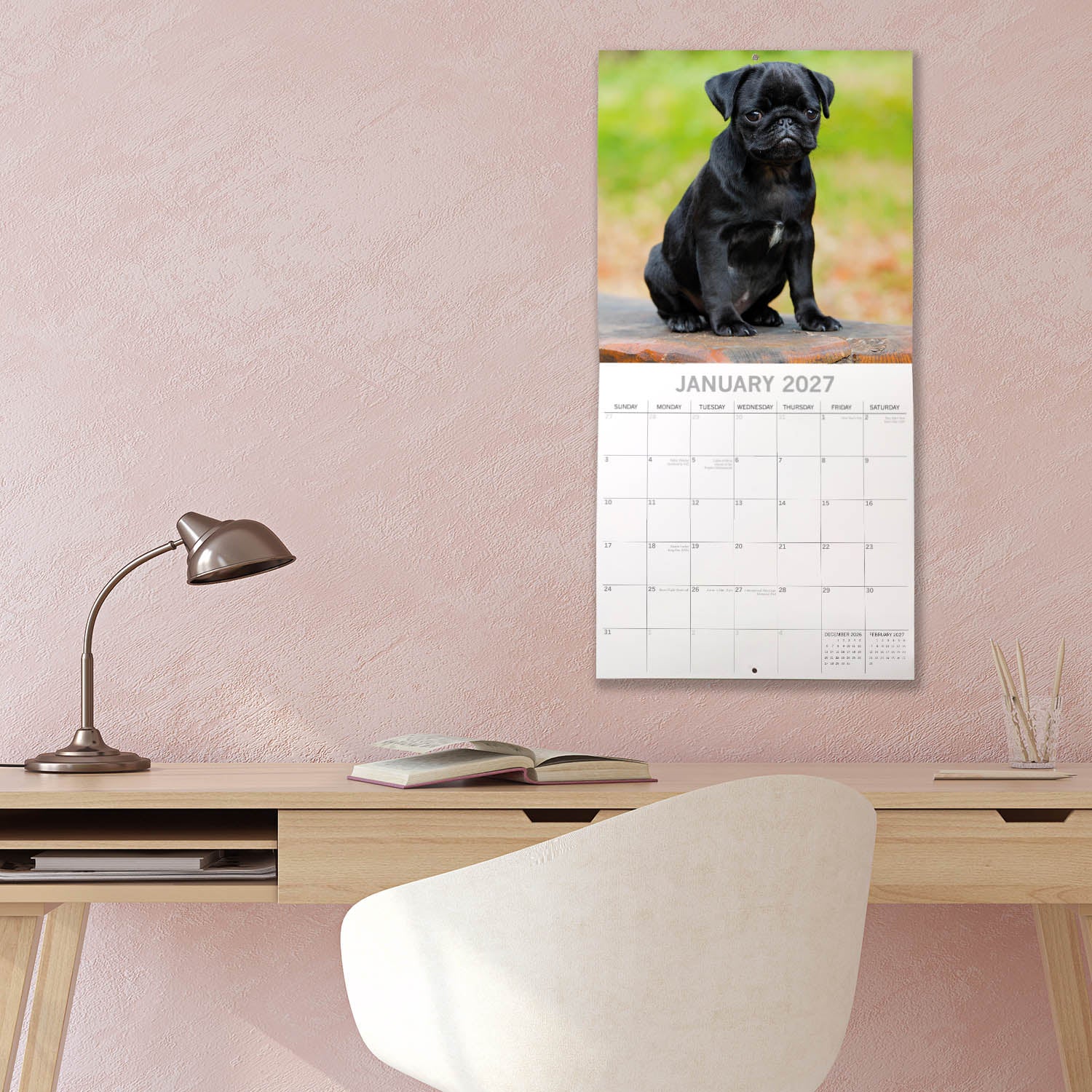 Animals_Dogs_Pugs_2027_Jan_LS.jpg