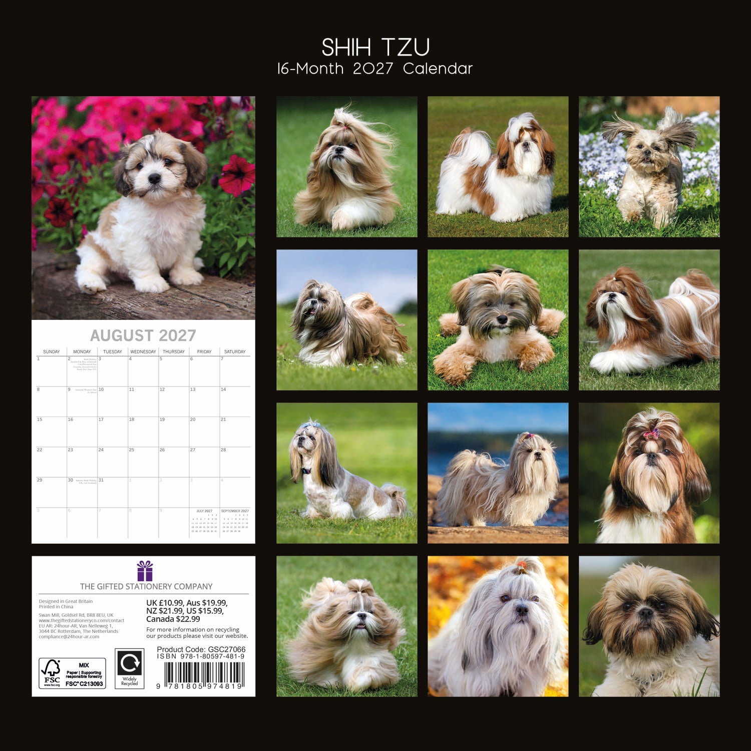 Animals_Dogs_Shih_Tzu_2027_Back.jpg