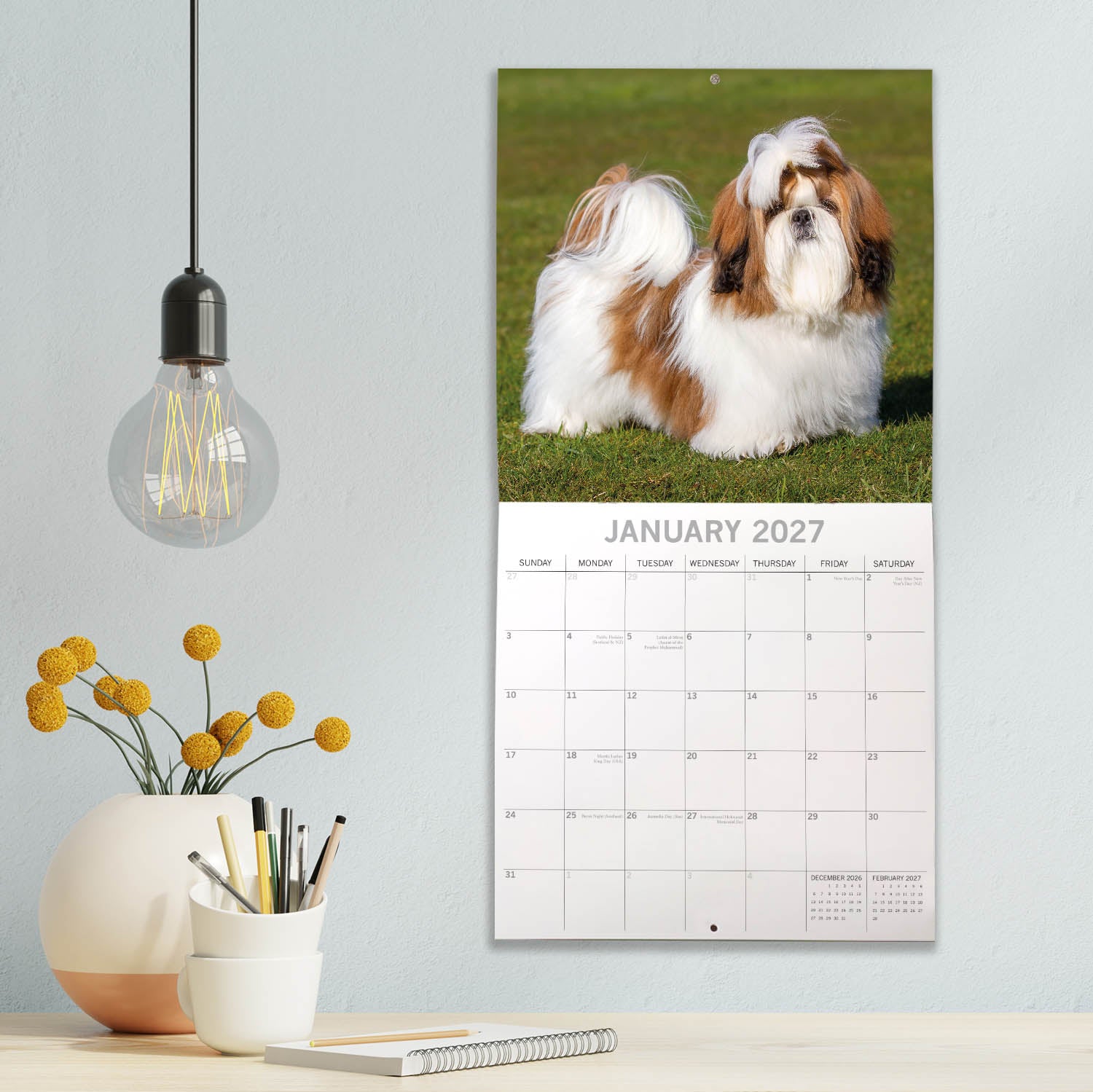 Animals_Dogs_Shih_Tzu_2027_Jan_LS.jpg