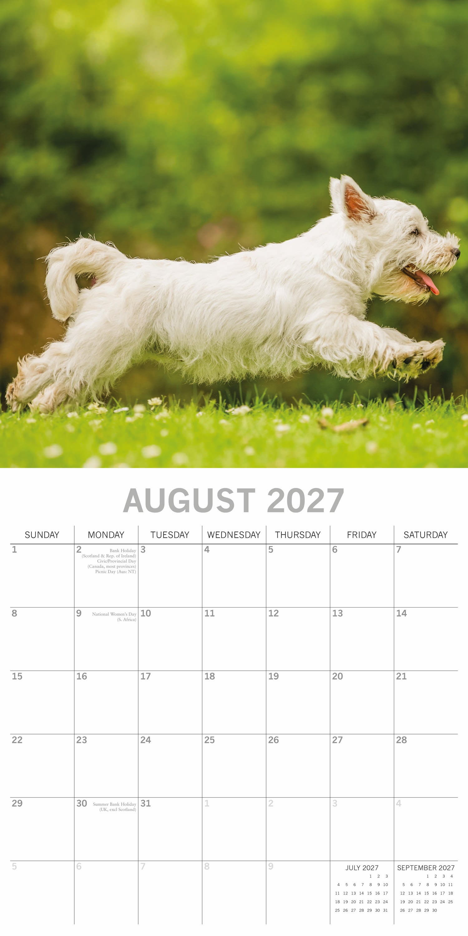 Animals_Dogs_West_Highland_White_Terriers_2027_Aug.jpg