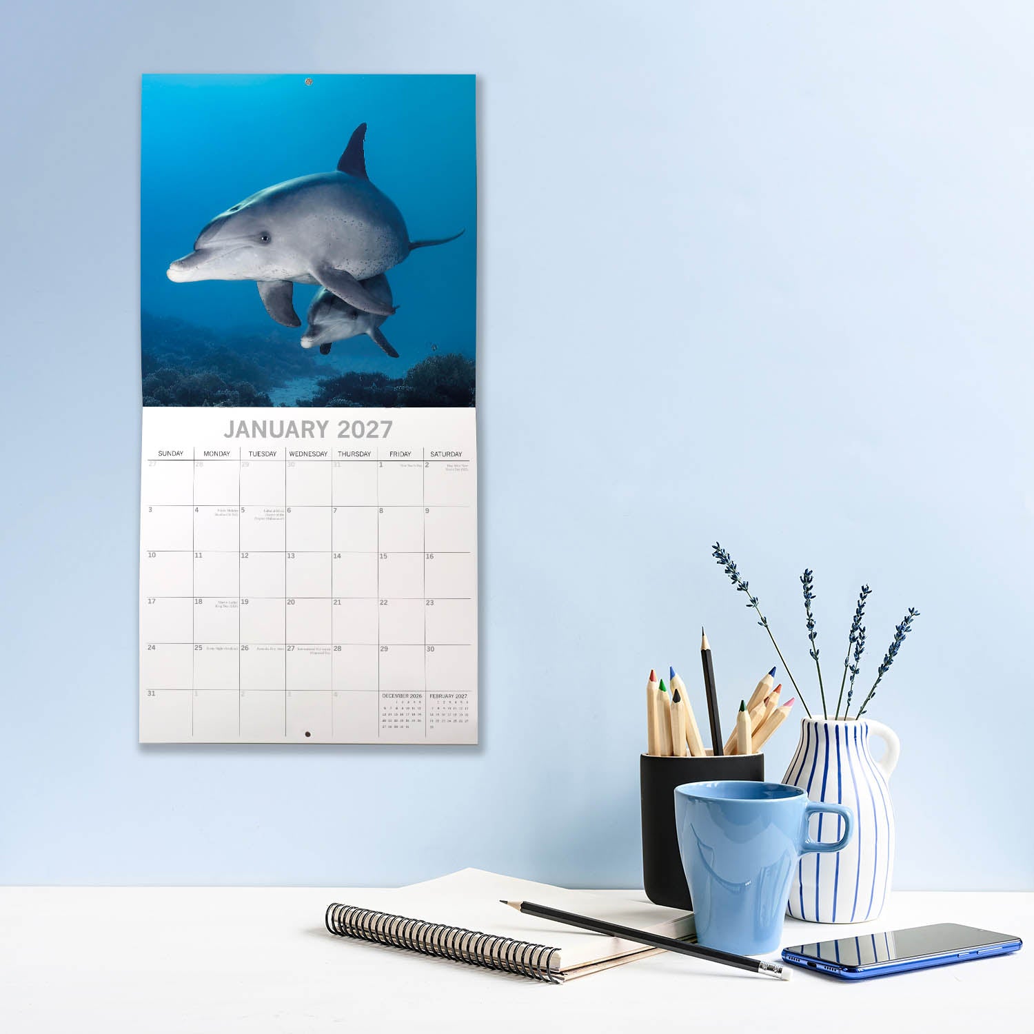 Animals_Dolphins_2027_Jan_LS.jpg