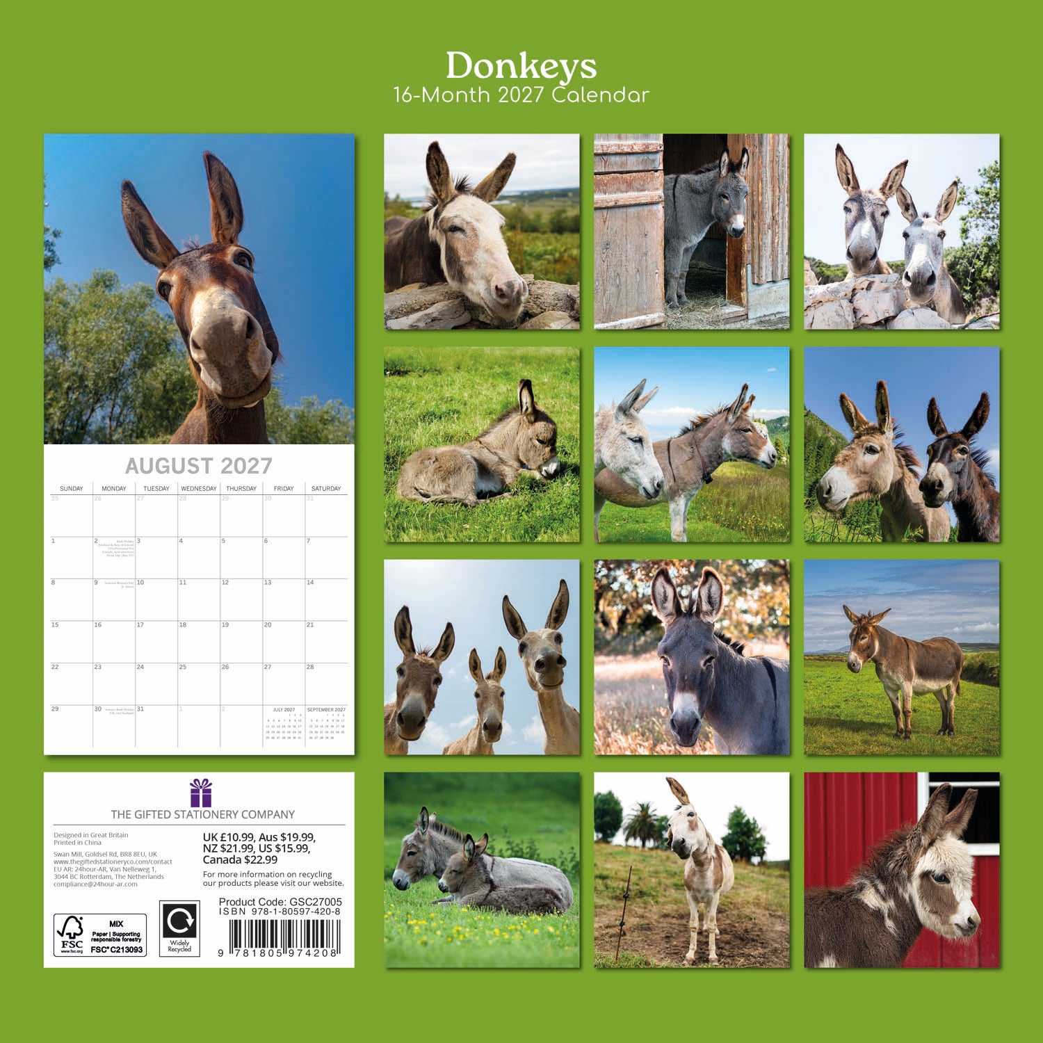 Animals_Donkeys_2027_Back.jpg