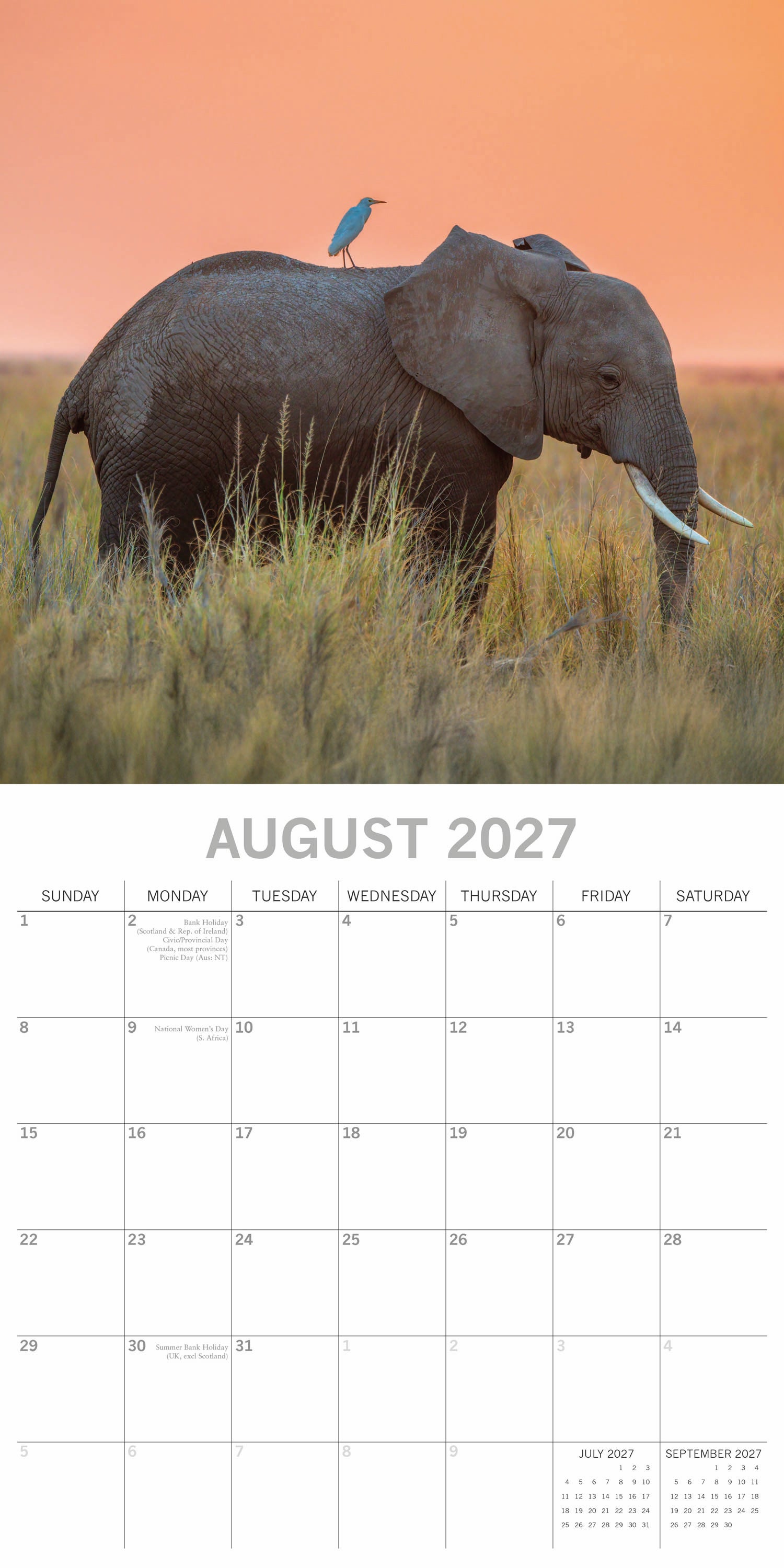 Animals_Elephants_2027_Aug.jpg