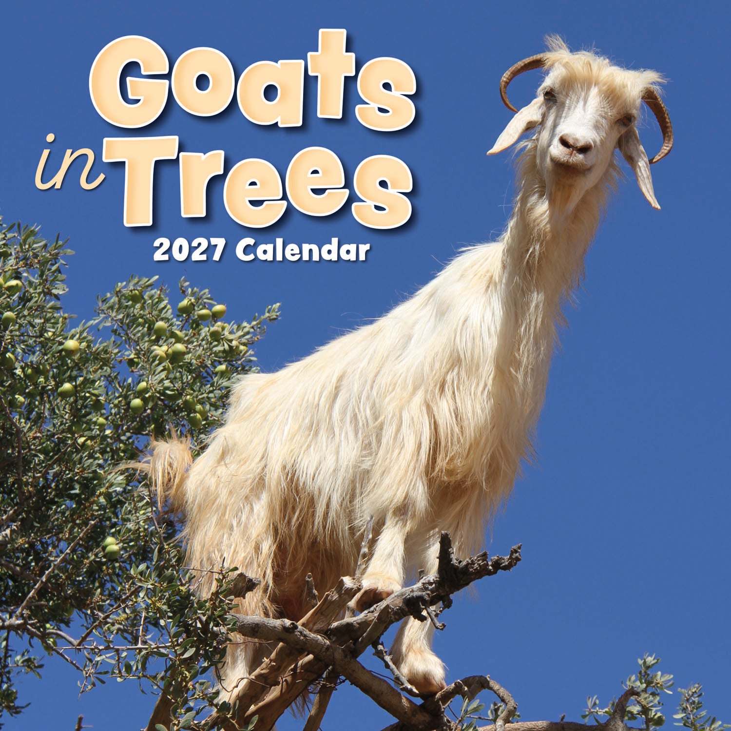 Animals_Goats_in_Trees_2027_Cover.jpg