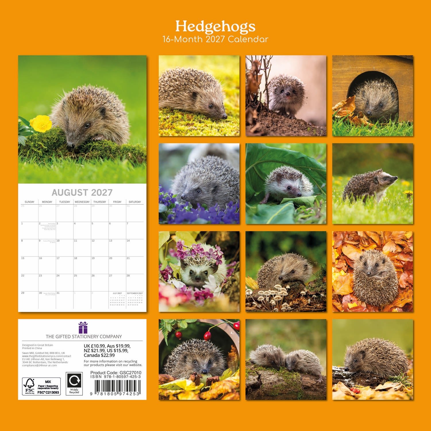 Animals_Hedgehogs_2027_Back.jpg