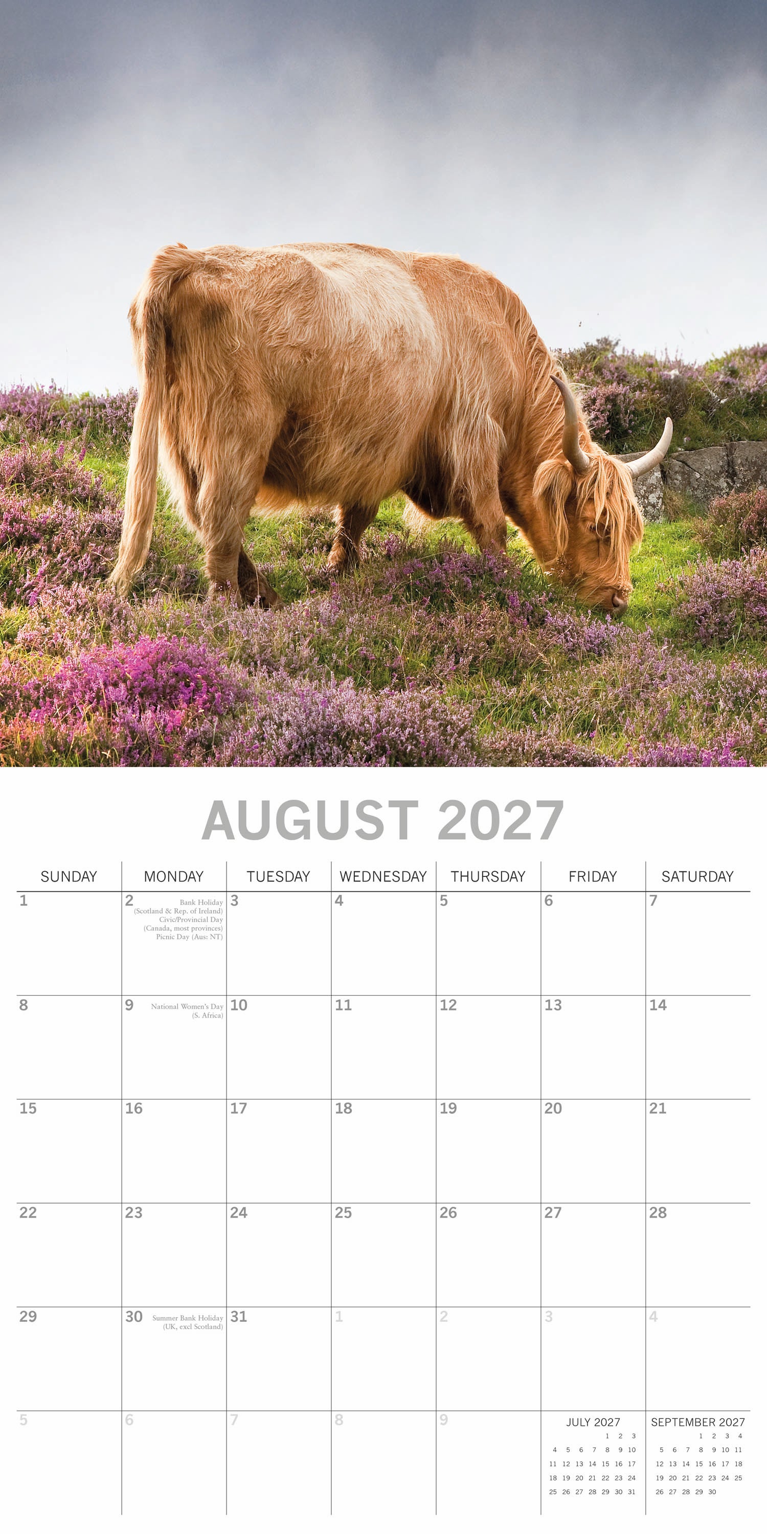 Animals_Highland_Cows_2027_Aug.jpg