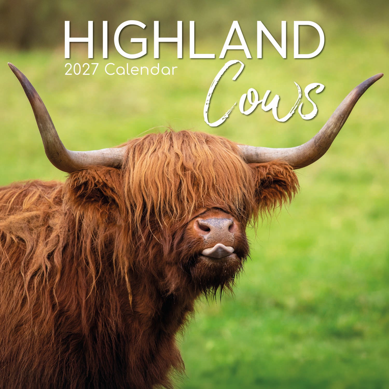 Animals_Highland_Cows_2027_Cover.jpg