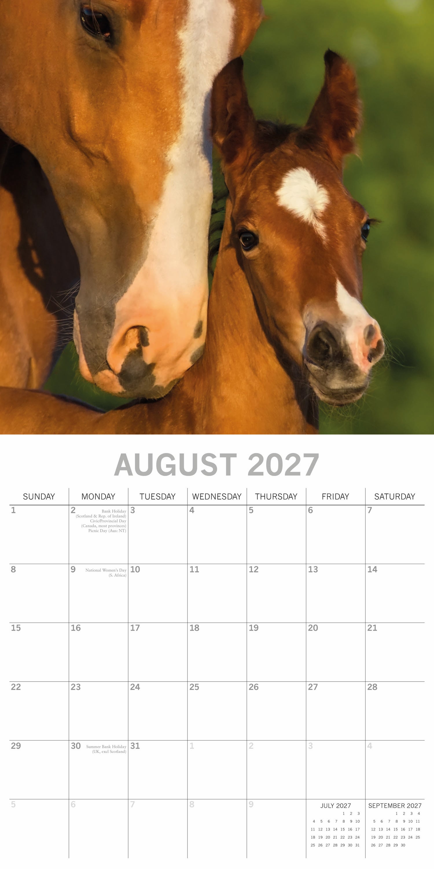 Animals_Horses_2027_Aug.jpg