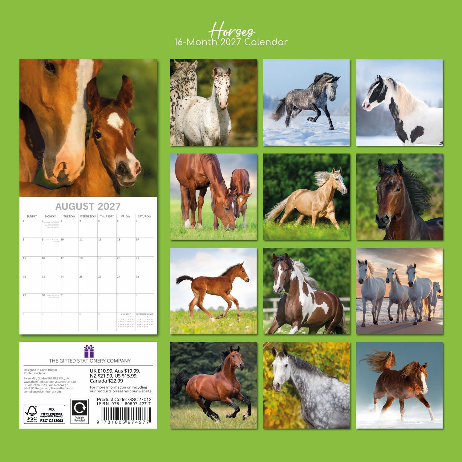 Animals_Horses_2027_Back.jpg