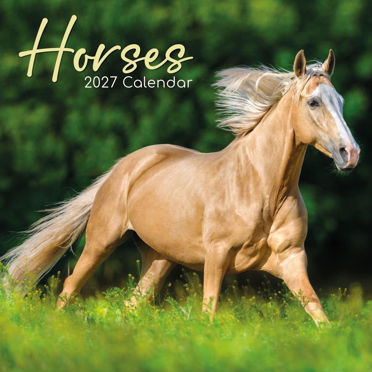 Animals_Horses_2027_Cover.jpg