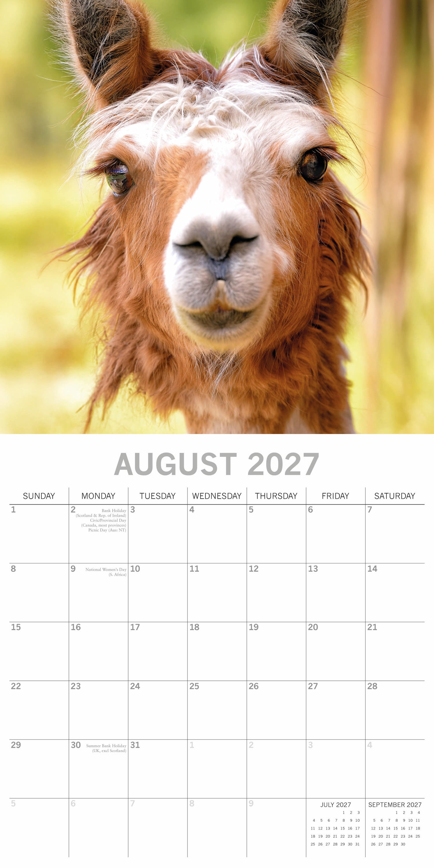 Animals_Llamas_2027_Aug.jpg