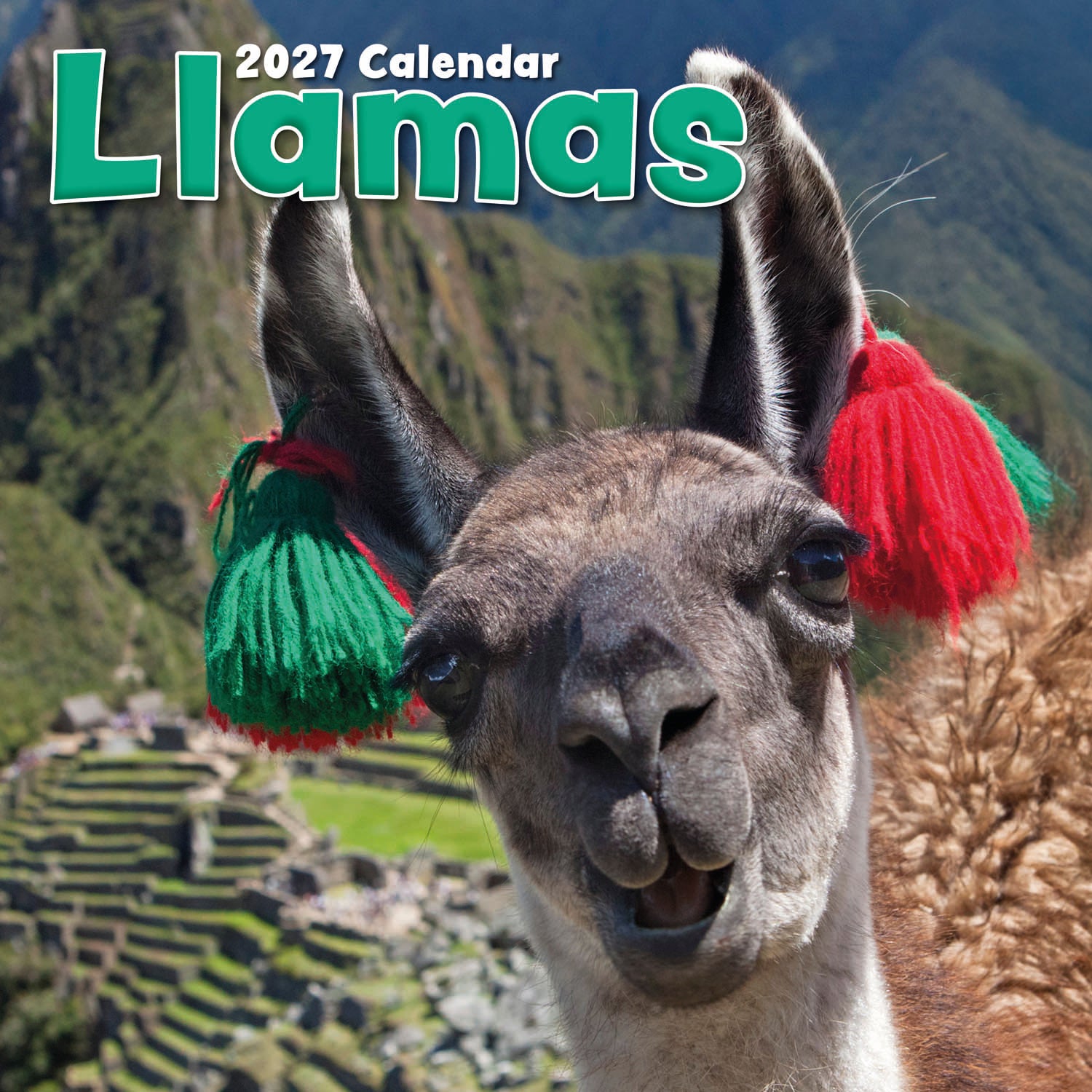 Animals_Llamas_2027_Cover.jpg