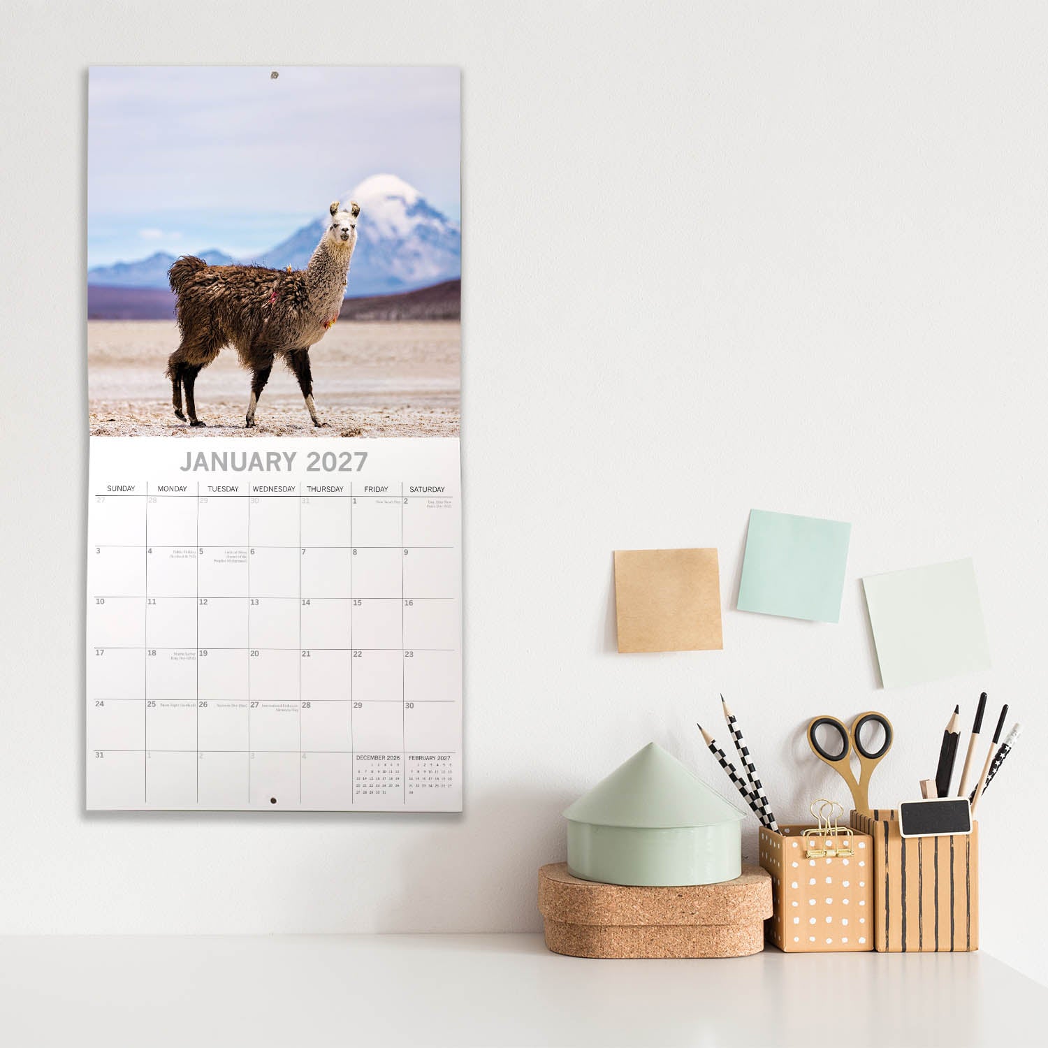 Animals_Llamas_2027_Jan_LS.jpg