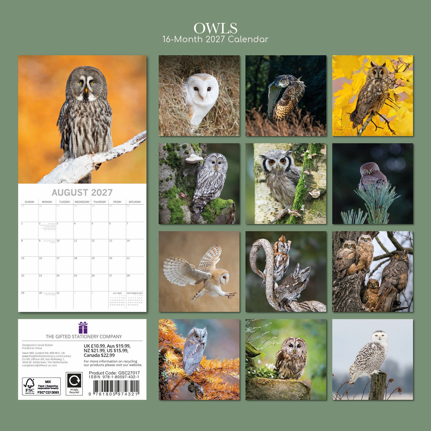 Animals_Owls_2027_Back.jpg