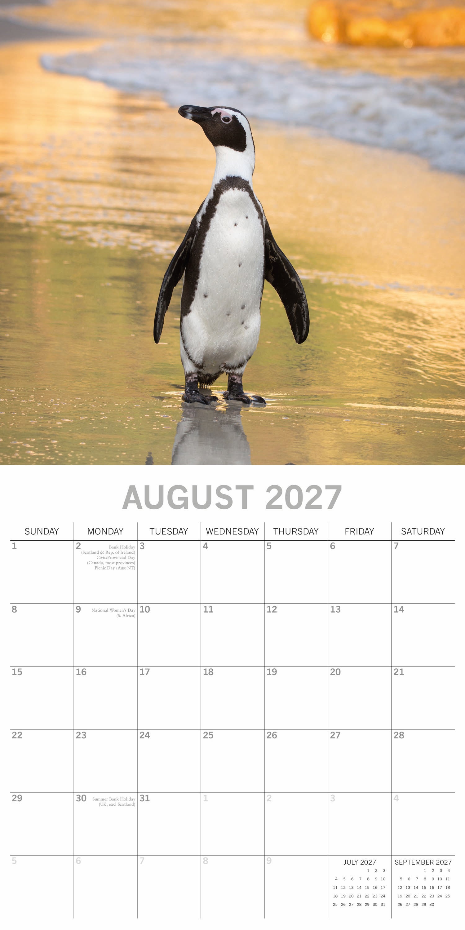 Animals_Penguins_2027_Aug.jpg