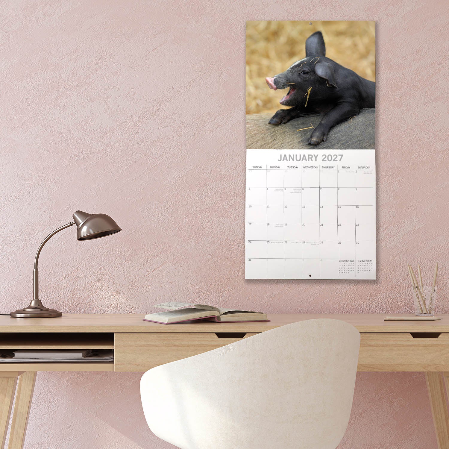 Animals_Piggies_2027_Jan_LS.jpg