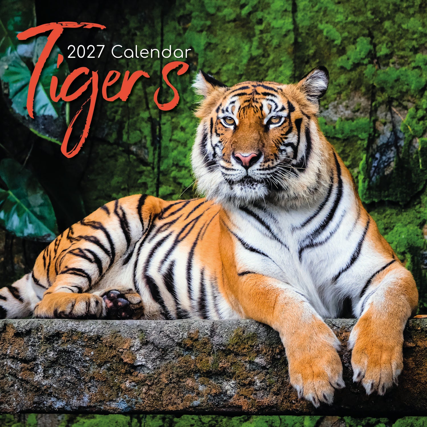 Animals_Tigers_2027_Cover.jpg